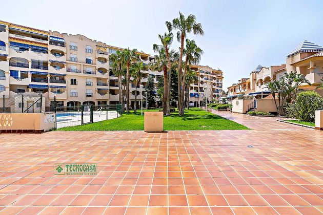 Foto 2 de Piso en venta en Almerimar - Balerma - San Agustín - Costa de Ejido de 1 habitación con terraza y piscina