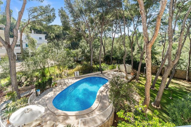 Foto 1 de Estudio en venta en Cas Catala - Illetes con terraza y piscina