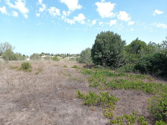 Foto 1 de Venta de terreno en Las Lagunas - Campano de 1231 m²