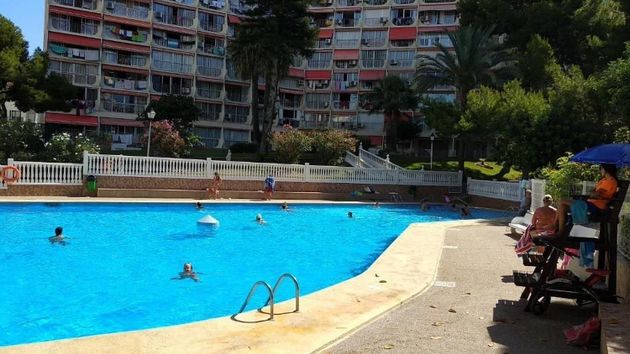 Foto 2 de Pis en venda a Rincón de Loix de 1 habitació amb piscina i jardí