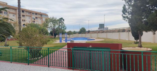 Foto 1 de Alquiler de estudio en Centro - Torrevieja con terraza y piscina