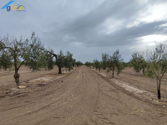 Foto 1 de Venta de terreno en Arahal de 23252 m²