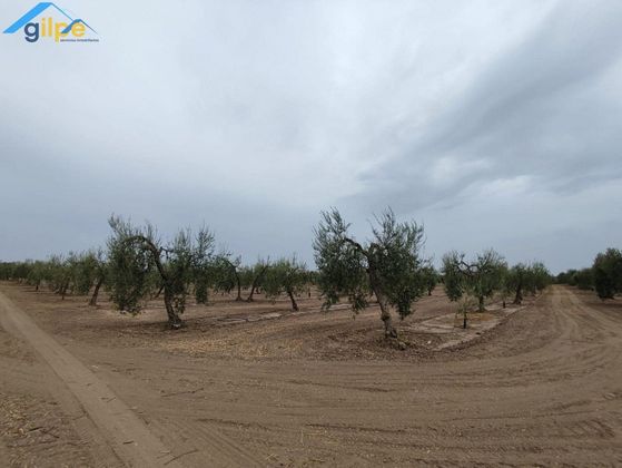 Foto 2 de Venta de terreno en Arahal de 23252 m²