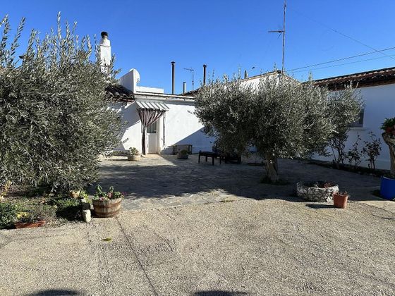 Foto 1 de Xalet en venda a Sariñena de 4 habitacions amb garatge i jardí