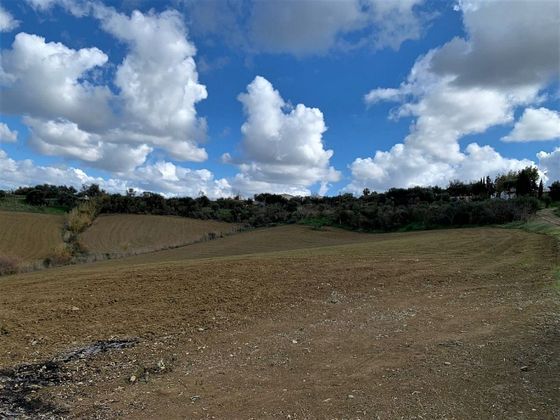 Foto 1 de Venta de terreno en Cártama de 22000 m²