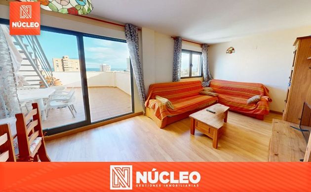 Foto 1 de Àtic en venda a Campello Playa de 2 habitacions amb terrassa i piscina
