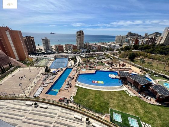 Foto 2 de Pis en lloguer a avenida Villajoyosa de 3 habitacions amb terrassa i piscina