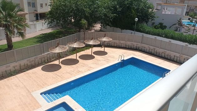 Foto 2 de Venta de piso en Oliva Nova de 3 habitaciones con terraza y piscina