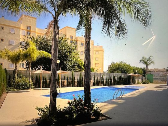 Foto 1 de Pis en venda a Oliva Nova de 3 habitacions amb terrassa i piscina