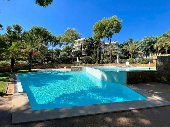 Foto 1 de Piso en venta en Sol de Mallorca de 3 habitaciones con terraza y piscina