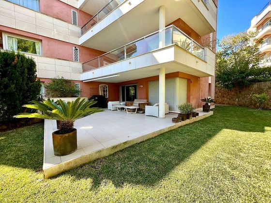 Foto 2 de Pis en venda a Sol de Mallorca de 3 habitacions amb terrassa i piscina