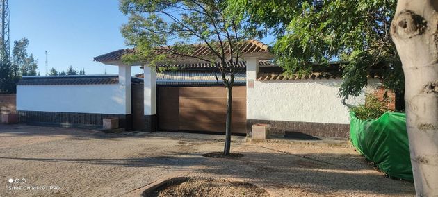 Foto 1 de Casa rural en venda a San Pedro de Mérida de 4 habitacions amb terrassa i piscina