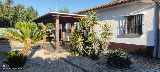 Foto 2 de Casa rural en venda a San Pedro de Mérida de 4 habitacions amb terrassa i piscina