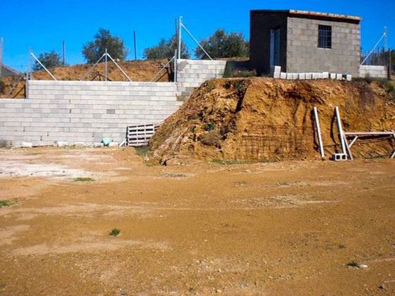 Foto 2 de Venta de terreno en Archidona de 17600 m²