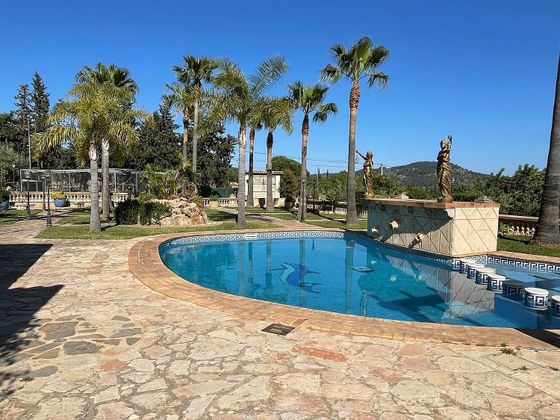 Foto 1 de Alquiler de chalet en Alaró de 4 habitaciones con terraza y piscina