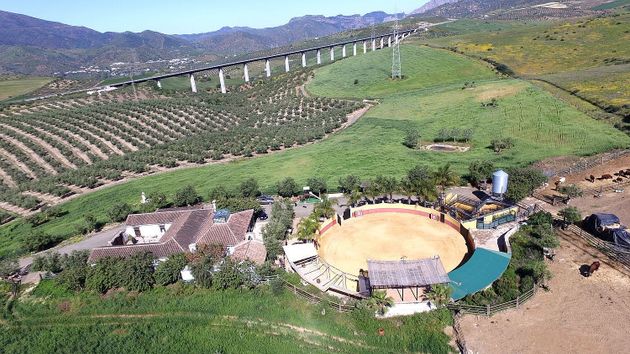Foto 2 de Venta de casa rural en Álora de 4 habitaciones con piscina y jardín