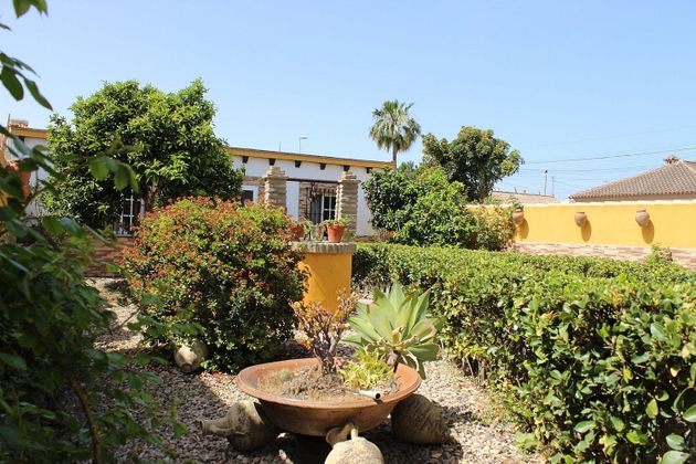 Foto 1 de Casa rural en venda a Ctra Jerez-Ctra del Puerto de 1 habitació amb terrassa i piscina