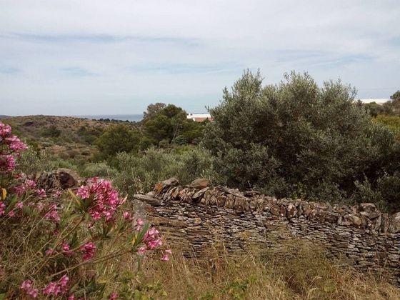 Foto 2 de Venta de terreno en Cadaqués de 3905 m²