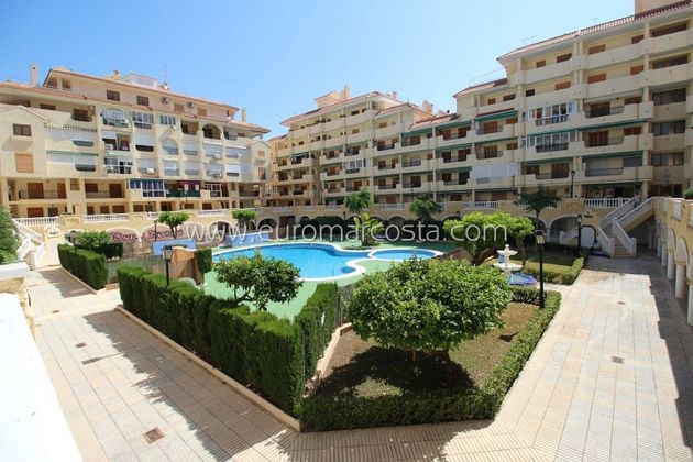 Foto 1 de Pis en venda a Torrelamata - La Mata de 2 habitacions amb terrassa i piscina