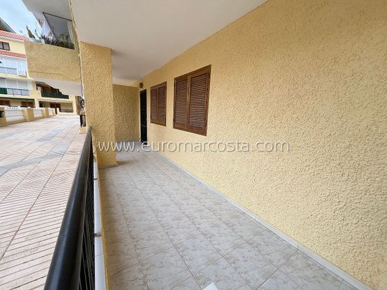 Foto 2 de Pis en venda a Torrelamata - La Mata de 2 habitacions amb terrassa i piscina