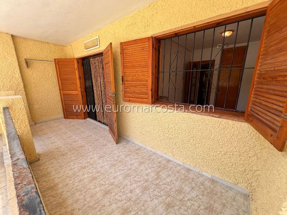 Foto 2 de Venta de piso en Torrelamata - La Mata de 1 habitación con terraza y piscina
