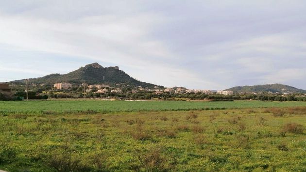 Foto 2 de Venta de terreno en Sant Llorenç des Cardassar de 14489 m²
