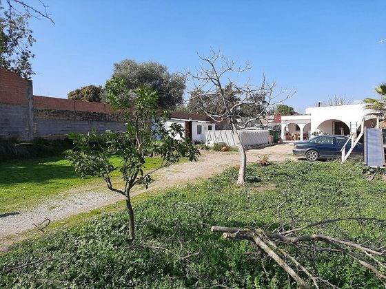 Foto 2 de Venta de terreno en Castilblanco de los Arroyos de 1000 m²