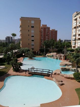 Foto 1 de Alquiler de piso en Alicante Golf de 3 habitaciones con piscina y garaje