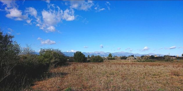 Foto 1 de Venta de terreno en Algaida de 20000 m²