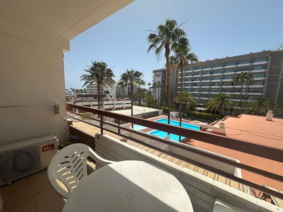 Foto 2 de Pis en lloguer a Playa del Inglés de 1 habitació amb piscina i garatge