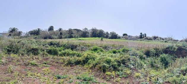 Foto 1 de Venta de terreno en Tacoronte - Los Naranjeros de 6284 m²