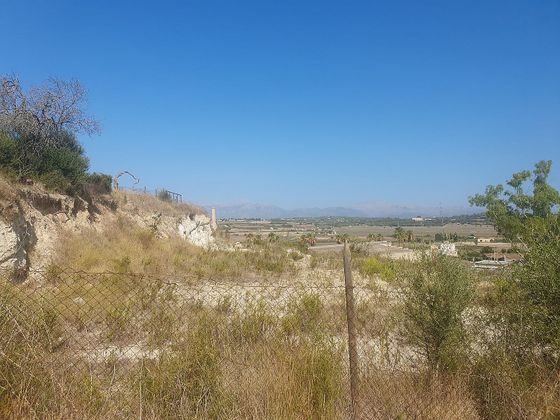 Foto 2 de Venta de terreno en Santa Margalida de 1305 m²