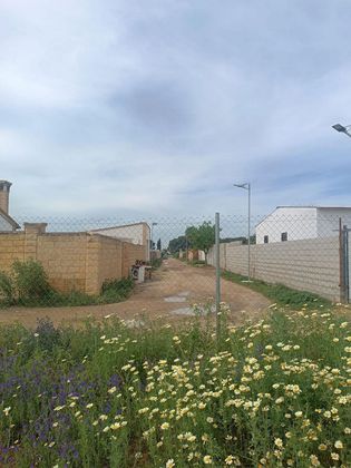 Foto 2 de Venta de terreno en Palacios y Villafranca (Los) de 1750 m²