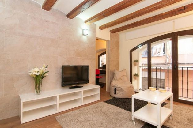 Foto 1 de Alquiler de estudio en El Raval con muebles y aire acondicionado