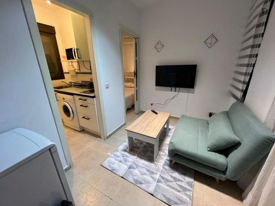 Foto 1 de Alquiler de piso en Embajadores - Lavapiés de 1 habitación con muebles