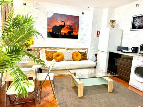 Foto 1 de Piso en alquiler en Sol de 1 habitación con muebles y aire acondicionado