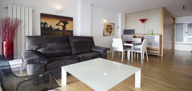 Foto 1 de Alquiler de piso en Embajadores - Lavapiés de 2 habitaciones con muebles y aire acondicionado
