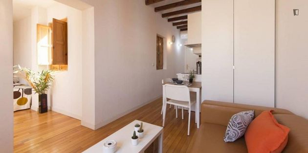 Foto 2 de Alquiler de piso en Puerta del Ángel de 1 habitación con muebles y aire acondicionado
