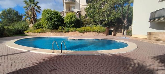 Foto 2 de Piso en venta en Bellver - Son Dureta- La Teulera de 3 habitaciones con terraza y piscina