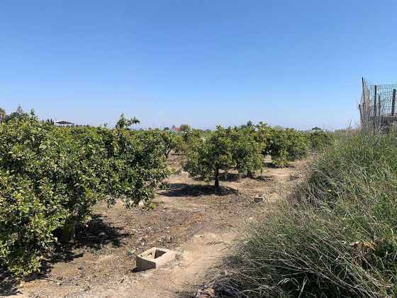 Foto 1 de Venta de terreno en Formentera del Segura de 1550 m²