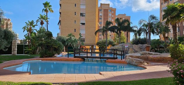 Foto 2 de Pis en lloguer a Playa de San Juan de 2 habitacions amb terrassa i piscina