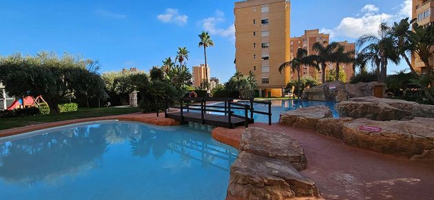 Foto 1 de Piso en alquiler en avenida De Les Nacions de 2 habitaciones con terraza y piscina