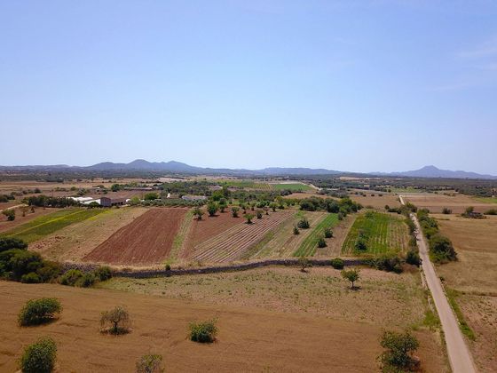 Foto 2 de Venta de terreno en Vilafranca de Bonany de 18957 m²