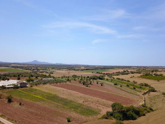 Foto 1 de Venta de terreno en Vilafranca de Bonany de 15834 m²