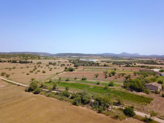Foto 2 de Venta de terreno en Vilafranca de Bonany de 15834 m²