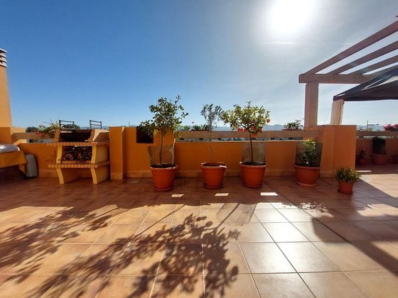 Foto 1 de Venta de ático en La Hoya-Almendricos-Purias de 3 habitaciones con terraza y piscina