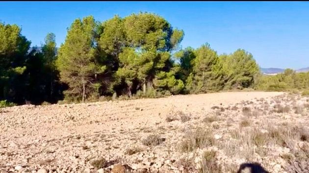 Foto 2 de Venta de terreno en polígono Parcela Llosar Tibi Alicante de 40351 m²