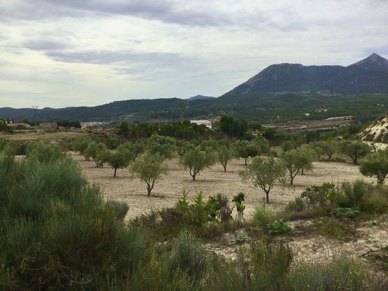 Foto 1 de Venta de terreno en polígono Parcela Llosar Tibi Alicante de 16245 m²