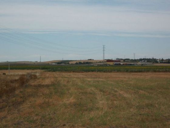 Foto 1 de Venta de terreno en Lebrija de 8000 m²