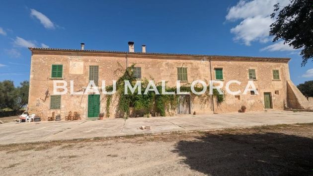 Foto 2 de Casa rural en venda a Vilafranca de Bonany de 3 habitacions amb terrassa i piscina